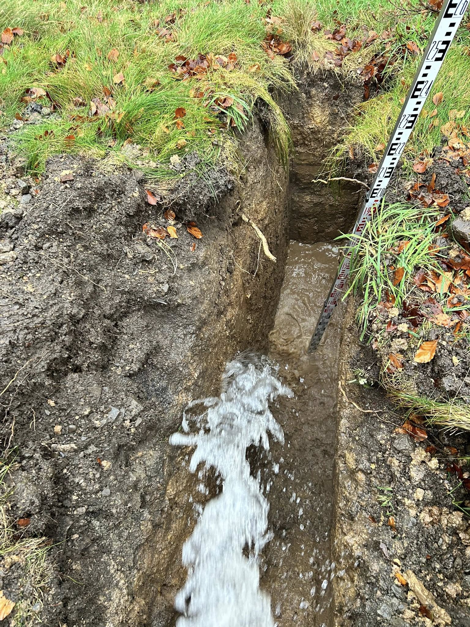 Project photo 6